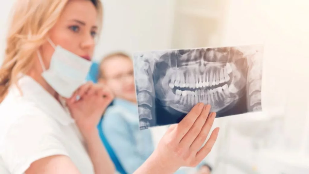 Dentist Examining Dental X-Ray